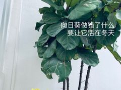 -白城沙滩