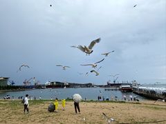 -海驴岛(荣成市)