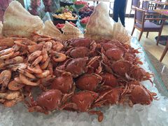 -视界美食自助餐厅·石家庄希尔顿酒店