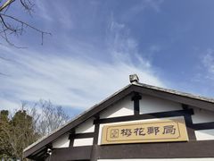 -香雪海
