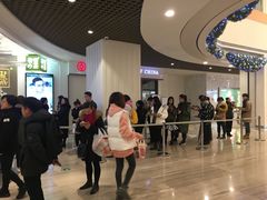 -奈雪的茶(市百一店)