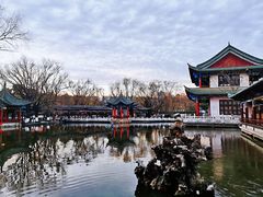 -MAP CHA普洱茶馆(翠湖店)
