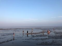 -南汇嘴观海公园