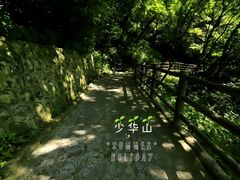 -少华山国家森林公园