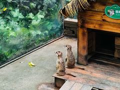 -呀诺达热带雨林