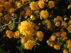 -仙海旅游度假区