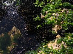 -北戴河东海水浴场