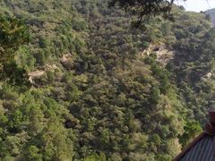 -北京上方山国家森林公园