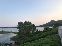 -沙美村