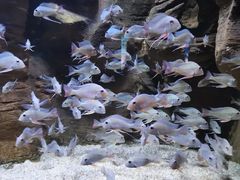 -成都浩海立方海洋公园