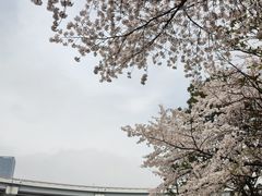 -南浦大桥长途旅游客运站