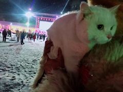 -雪谷