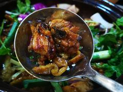 -胡须佬鸡煲四季火锅(龙珠大道店)