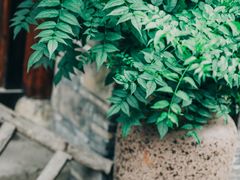 -品腐记·豆腐王朝(老门东总店)