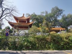 -深圳仙湖植物园