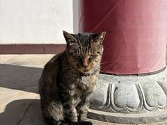 -狼山风景名胜区