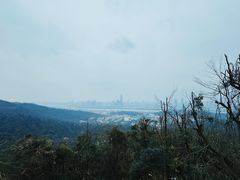 -岳麓山风景名胜区