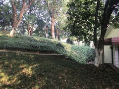 -上海市保健医疗中心(华东疗养院)