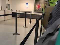 -约翰·菲茨杰拉德·肯尼迪国际机场