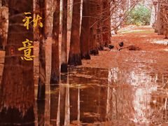 -捞渔河湿地公园