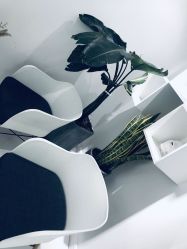 -紫御国际抗衰ZOE ANTI AGING
