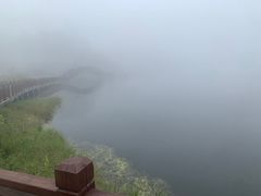 -海南热带雨林国家公园吊罗山景区