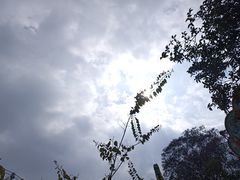 -雀儿山公园