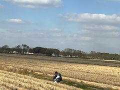 -嘉北郊野公园