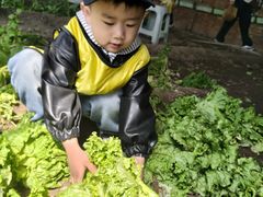 -甜心庄园·甜心草莓采摘园(西青中北店)