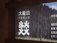 -大龙燚·旷野鲜火锅(广州首店)