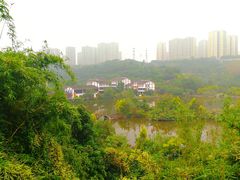-张坝桂圆林公园