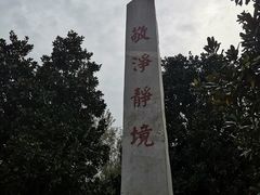 -南海禅寺