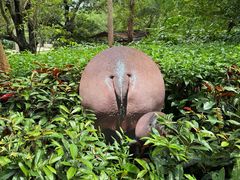 -深圳野生动物园