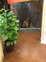 -艺米阳光Hair Salon