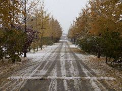 -意大利农场度假村