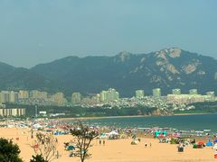 -青岛朗艺美术馆·海景咖啡