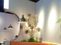 -老板恋上鱼(高新万达店)