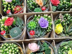 -循礼门鲜花花市(武汉循礼门店)