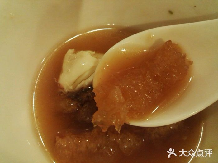 大中鱼翅 Taitong Shark Fin图片