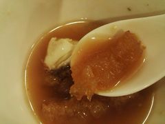 -大中鱼翅 Taitong Shark Fin
