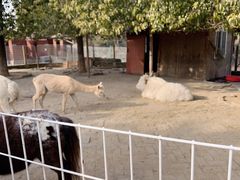 -武汉紫薇都市田园