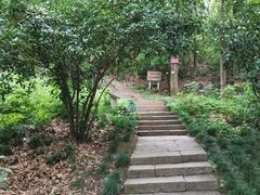 -九曜山