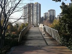 -南翔镇银翔湖公园