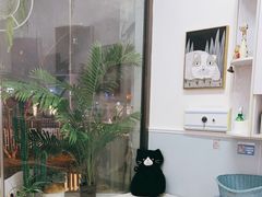 -纳吉亚猫专科动物医院·北北分院