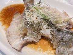 -阿英煲(凉城路店)