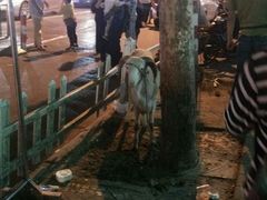 -新疆玉石阿卜都烧烤(太平南路店)