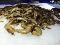 -云龙轩(迪士尼探索家度假酒店)