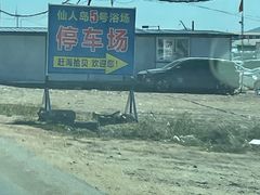 -仙人岛