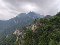 -王顺山国家森林公园