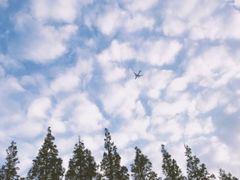 -前小桔亲子创意农场·草莓采摘·露营烧烤